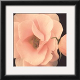 Buy Bliss III at AllPosters.com