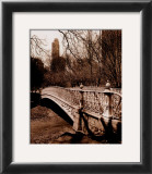 Central Park Bridge II