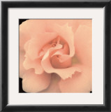 Buy Bliss I at AllPosters.com