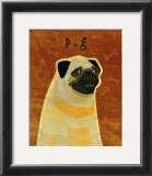 Pug