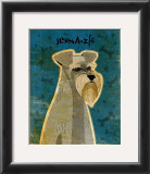 Schnauzer
