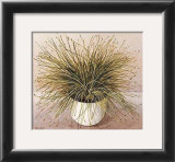 Buy Bare Grass I at AllPosters.com