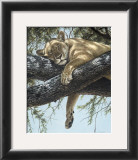 Buy Lake Manyara Lioness at AllPosters.com