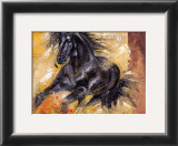 Buy Powerful Arabian Beauty at AllPosters.com