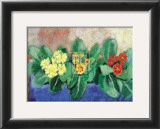 Buy Polyanthus at AllPosters.com