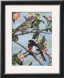 Buy Beauty of Nature I at AllPosters.com