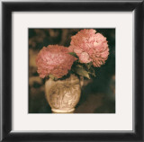 Buy Imperial Peony I at AllPosters.com