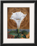 Angel's Trumpet