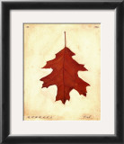 Buy Oak Leaf at AllPosters.com