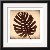 Buy Monstera II at AllPosters.com