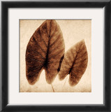 Buy Taro Leaves at AllPosters.com