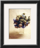 Cut Flowers III