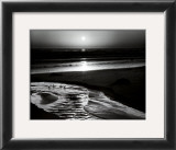 Buy Birds on a Beach at AllPosters.com