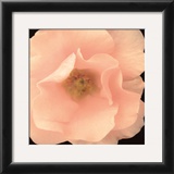 Buy Bliss II at AllPosters.com