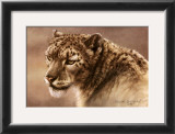 Buy Serenity at AllPosters.com