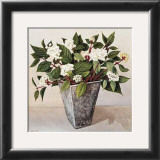 Buy Dogwood at AllPosters.com