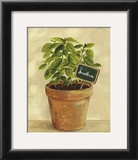 Buy Basilcum at AllPosters.com