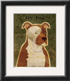 Pit Bull