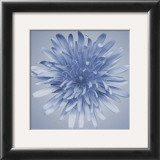 Buy Oceana Flora III at AllPosters.com