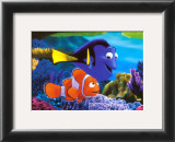 Searching for Nemo