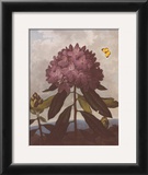 The Pontic Rhododendron