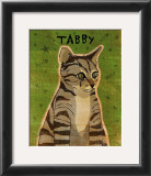 Tabby (grey)