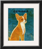 Chihuahua (red)