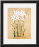 Buy Flower IV at AllPosters.com