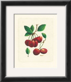 Cherries