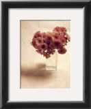 Cut Flowers IV
