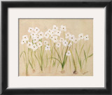 Buy Flower III at AllPosters.com