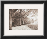 Buy Queen Elizabeth Park at AllPosters.com