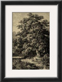 Buy Oak Tree at AllPosters.com