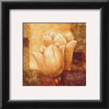 Buy Two Tulips I at AllPosters.com