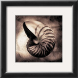 Buy Nautilus at AllPosters.com