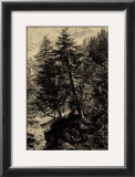 Buy Larch Tree at AllPosters.com