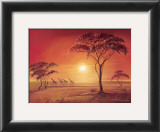 Buy Etosha at AllPosters.com