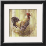 Buy Coq at AllPosters.com