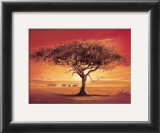 Buy Namib at AllPosters.com
