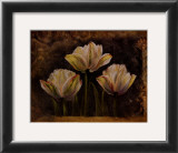 Buy Triple Tulip II at AllPosters.com