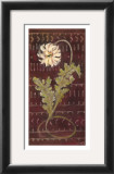 Buy African Daisy II at AllPosters.com