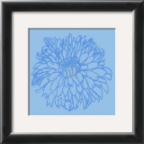 Buy Chrysanthemum Bloom I at AllPosters.com