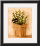 Buy Rosmarinus at AllPosters.com