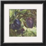 Buy Prunes at AllPosters.com