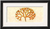 Buy Topaz Coral at AllPosters.com