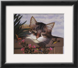 Buy Rocky Selland at AllPosters.com