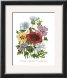 Buy Hibiscus at AllPosters.com