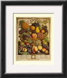 Fruits of the Season, Winter