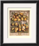Fruits of the Season, Spring