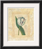 Buy Tulipanes Bessa II at AllPosters.com